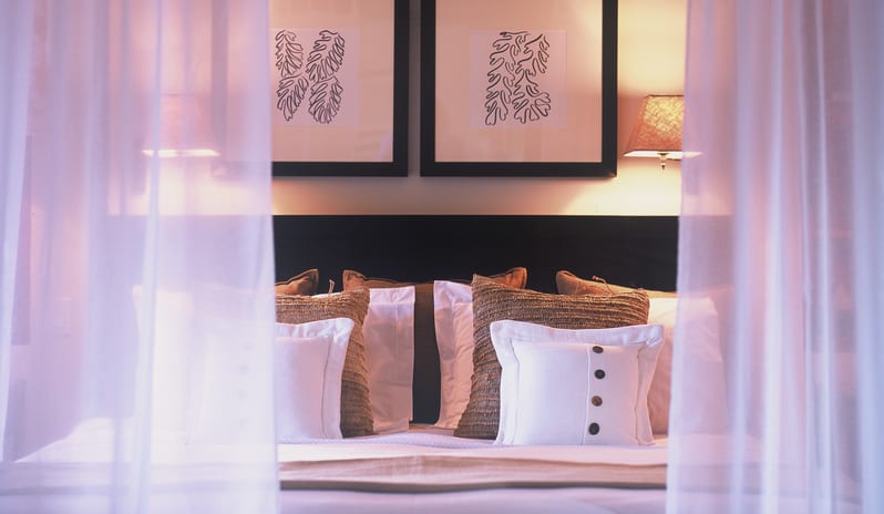 Tree Top Suite Whimbrel_10126